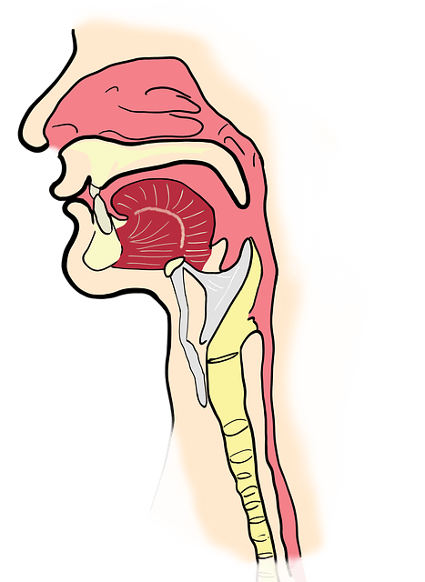 후두암의 요인과 증상 진단 및 치료