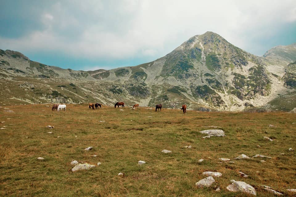 “회개란 무엇인가? 삶을 변화시키는 진정한 회개의 의미”