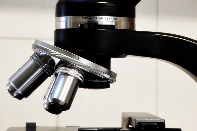 청년월세 한시 특별지원