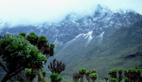 Rwenzori Mountains