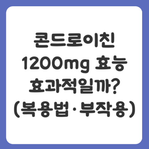 콘드로이친 1200mg 효능 효과적일까? 복용법&middot;부작용까지