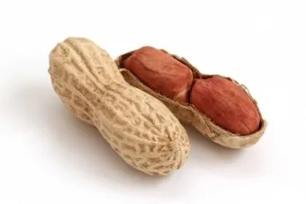 땅콩 효능 칼로리 권장섭취량_2