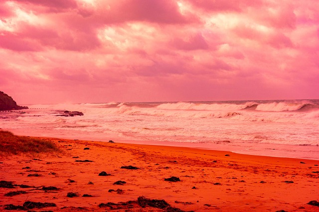 울릉도 독도 2박3일 여행