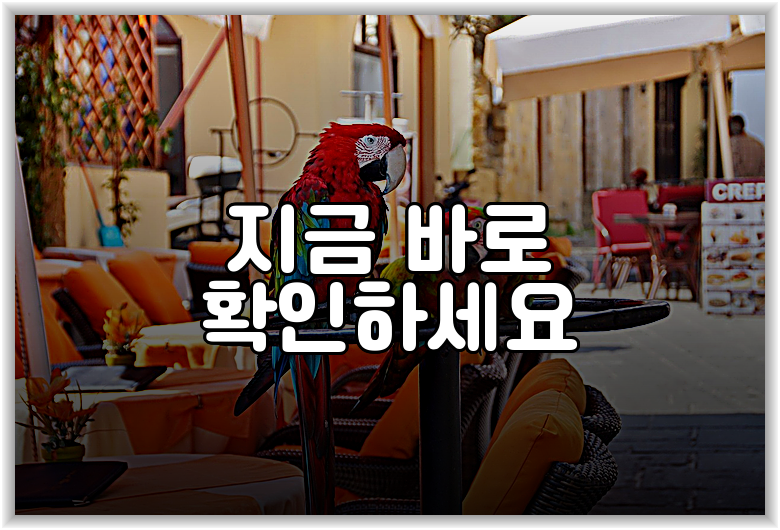 지금 바로 확인하세요