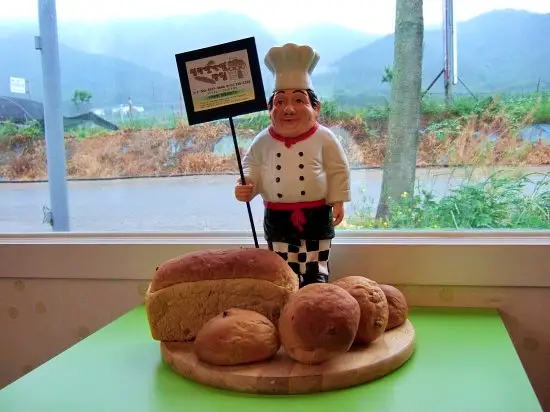 생활의달인 직접 농사 지은 우리 밀 자가 제분 통밀 식빵 건강한 빵 달인 맛있는 베이커리 빵집 은둔식달 오늘방송 경북 영천 맛집 정보