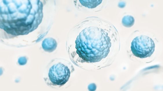 글루타치온 효능 10가지 하루권장량 부작용