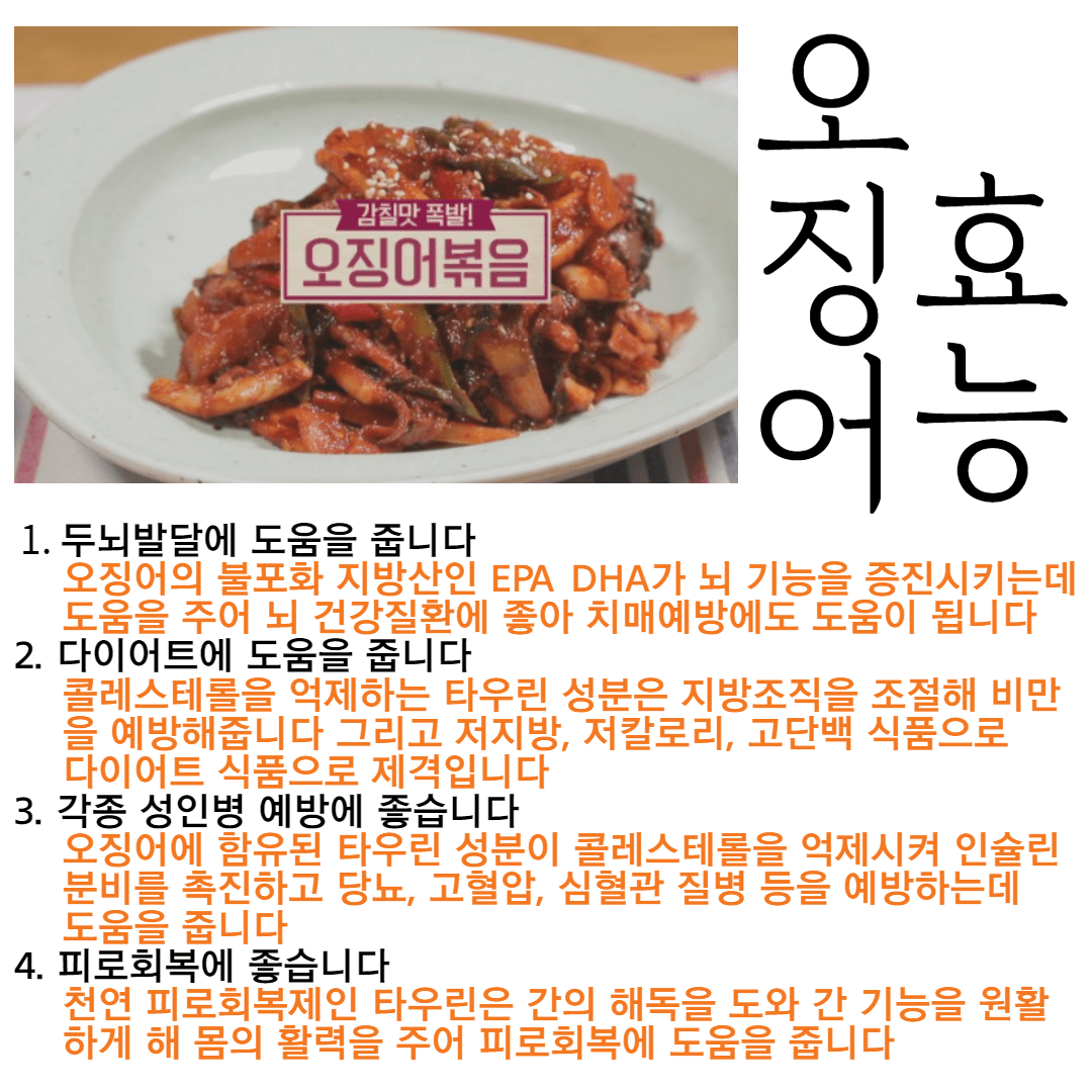 오징어 효능