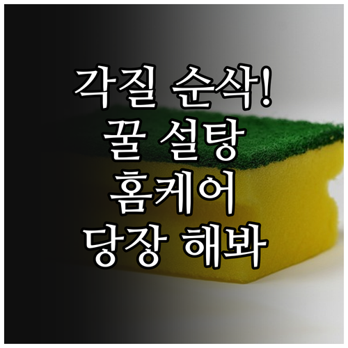 집에서 하는 입술 홈케어 꿀 설탕 스..
