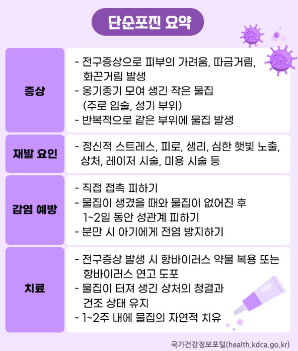 단순포진 요약 이미지