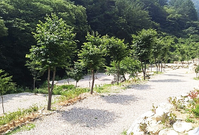 문경 히든벨리오토캠핑장 소개