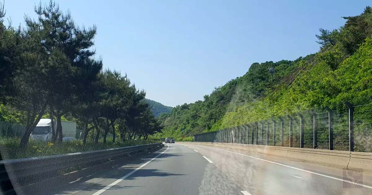 고속도로위의 신록