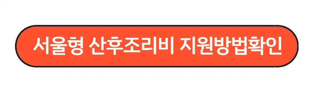 서울형 산후조리비 지원방법 확인
