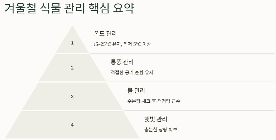 겨울철 식물 관리 방법