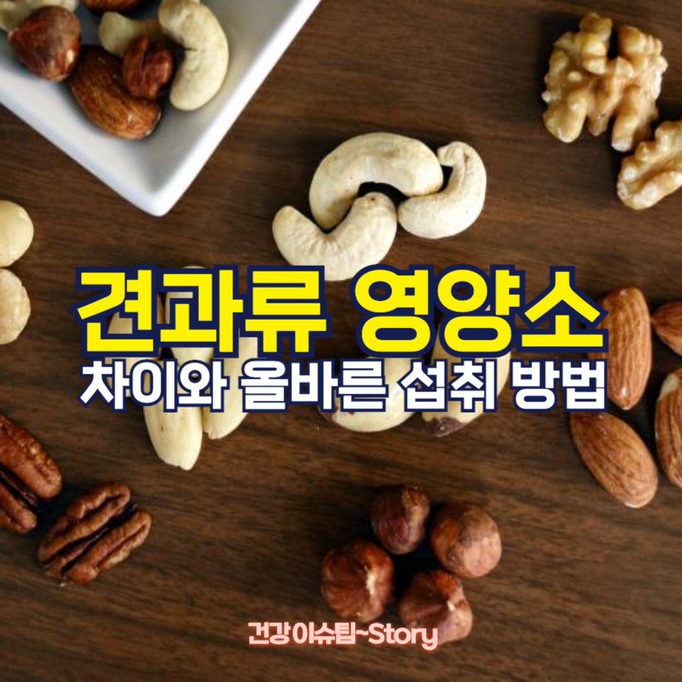 견과류 섭취 방법