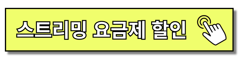 블루링크 스트리밍 베이직, 완벽한 스트리밍 솔루션(+2024)