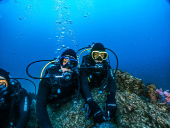 스쿠버다이빙 사진