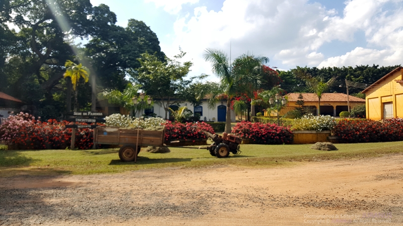 Fazenda_Tozan_25