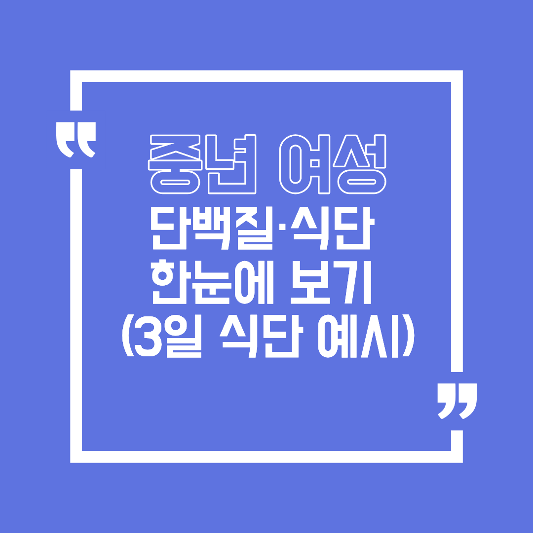 중년 여성 단백질·식단 한눈에 보기 (3일 식단 예시)