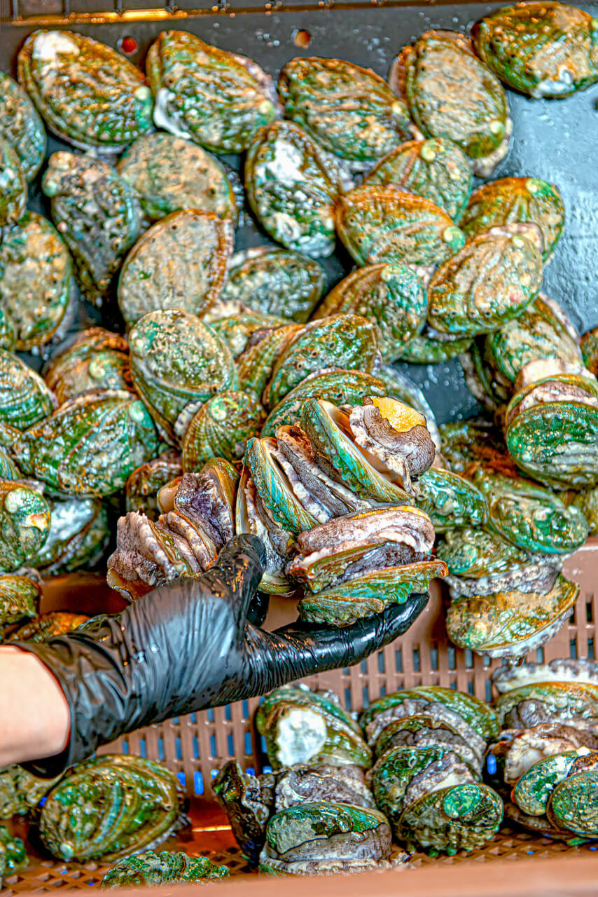 생방송투데이 오픈런빨라야 먹는다! 원주 조개구이 조개찜 맛집 통큰조개회