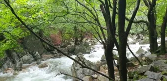 양평 강수 예측 세미원 산책 동선 우산 대여 정보_4