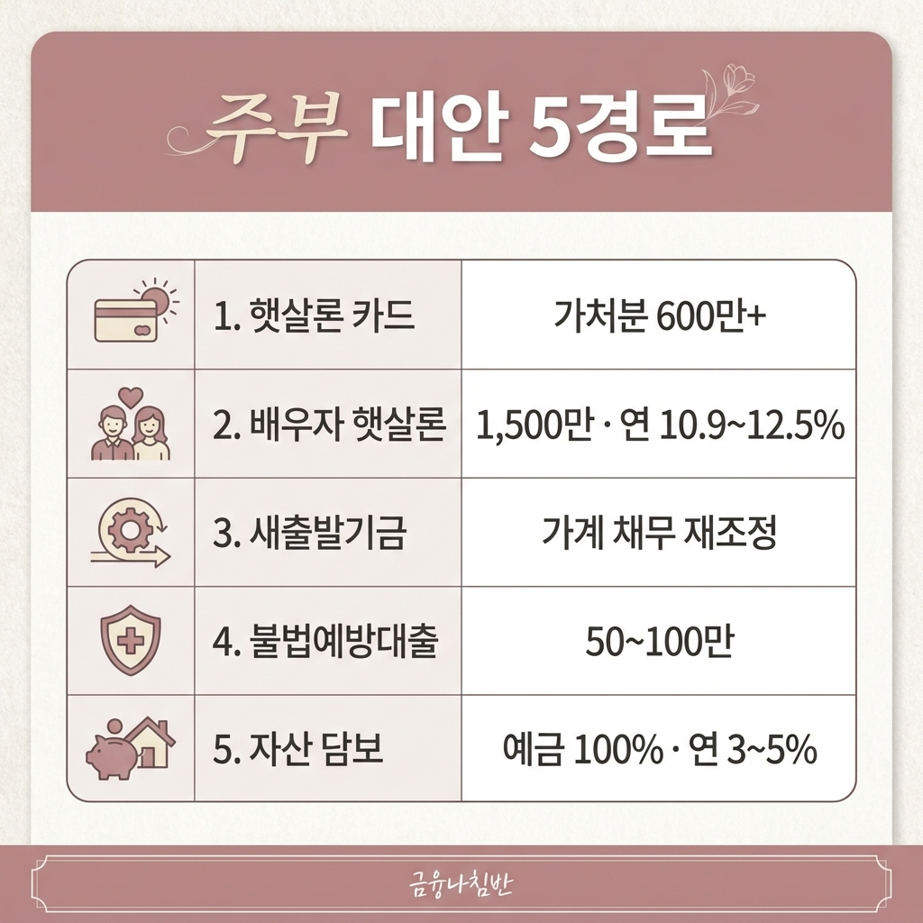 주부 대안 5경로