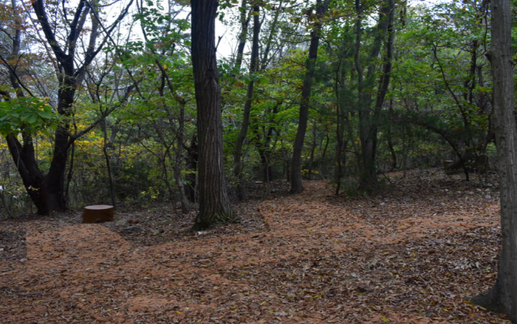 내장산 생태탐방원