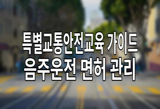 특별교통안전교육, 음주운전자와 교통법규 위반자를 위한 필수 과정