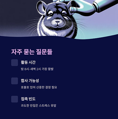 Q&amp;A로 정리하는 궁금증