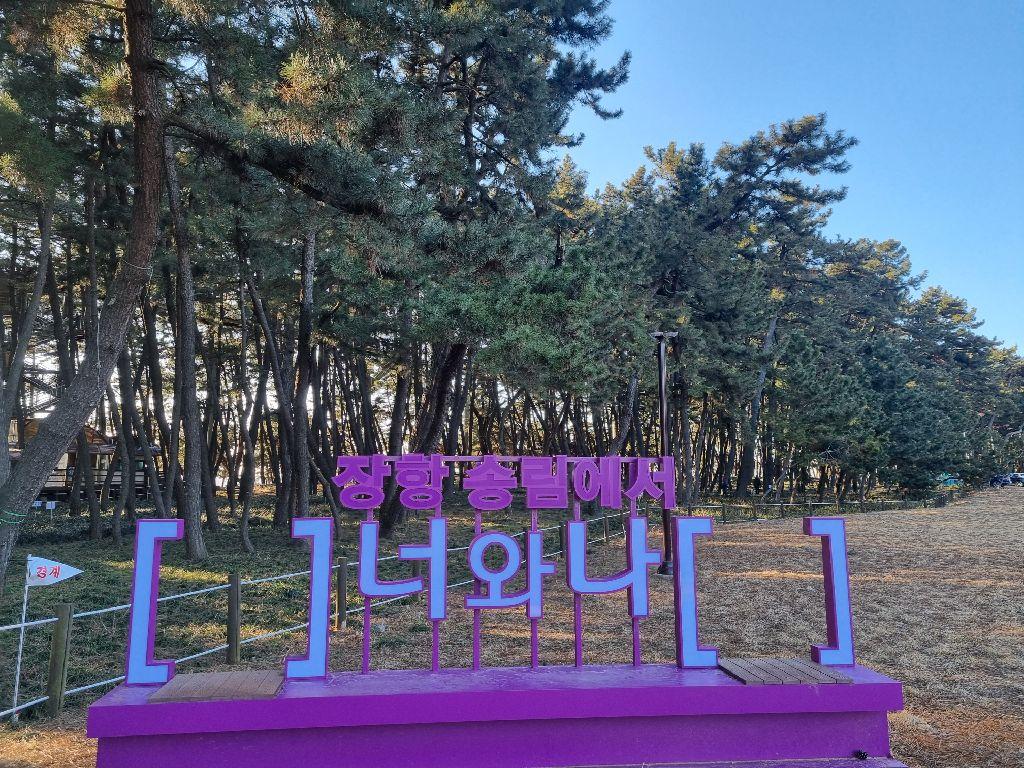 장항송림산림욕장