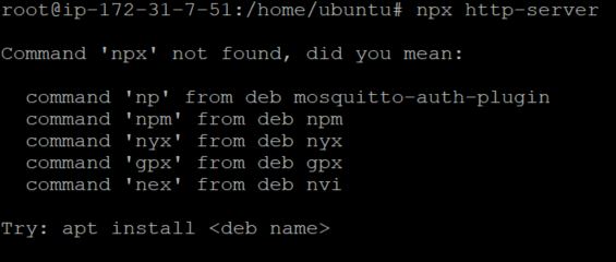 npx http-server