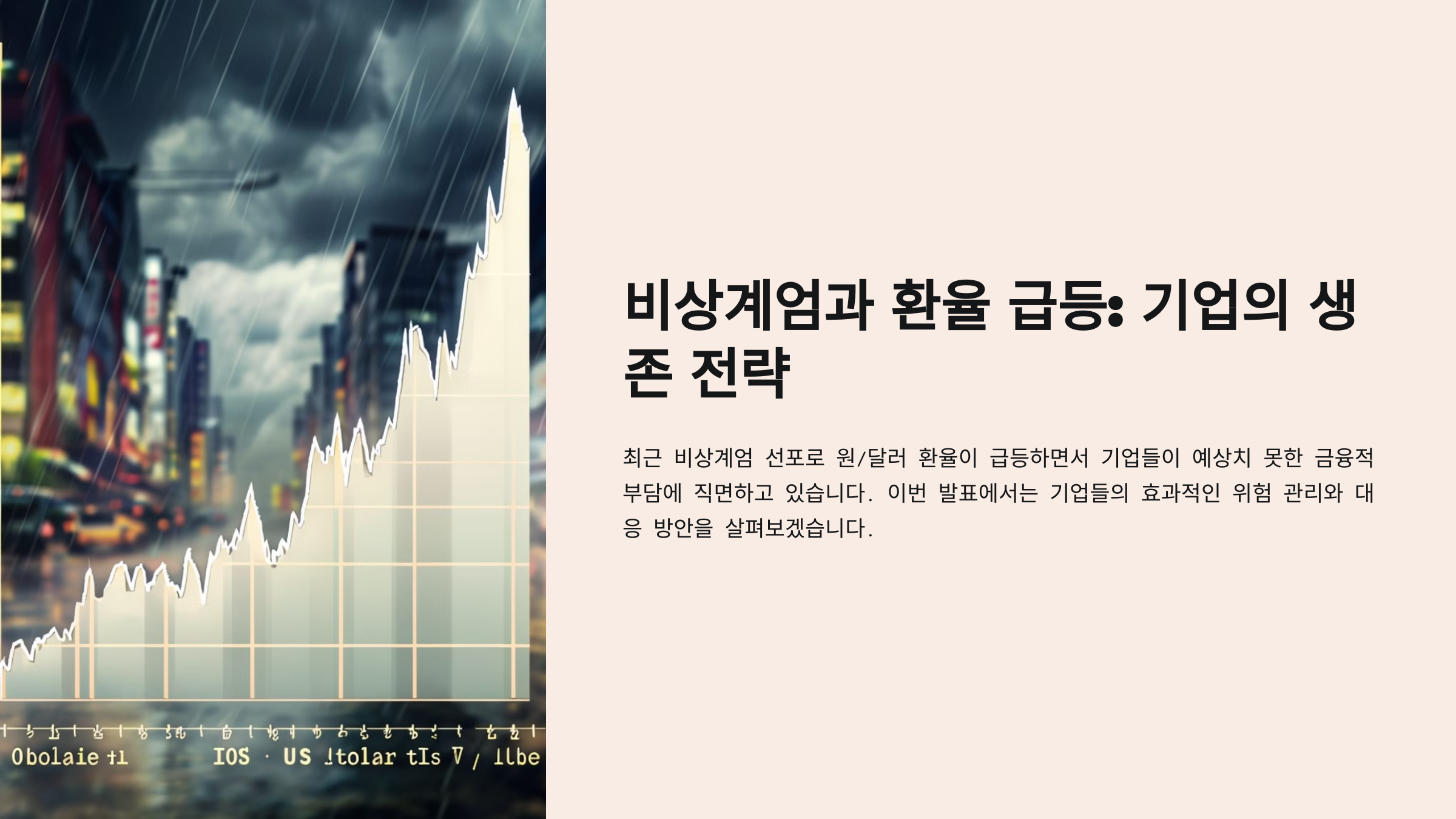 비상계엄과 환율 급등: 기업의 생존 전략