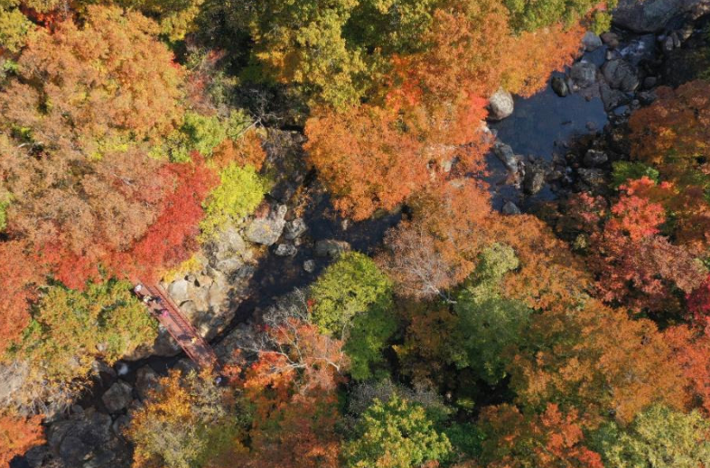 2025 가을 여행지 추천 TOP 5 관련사진