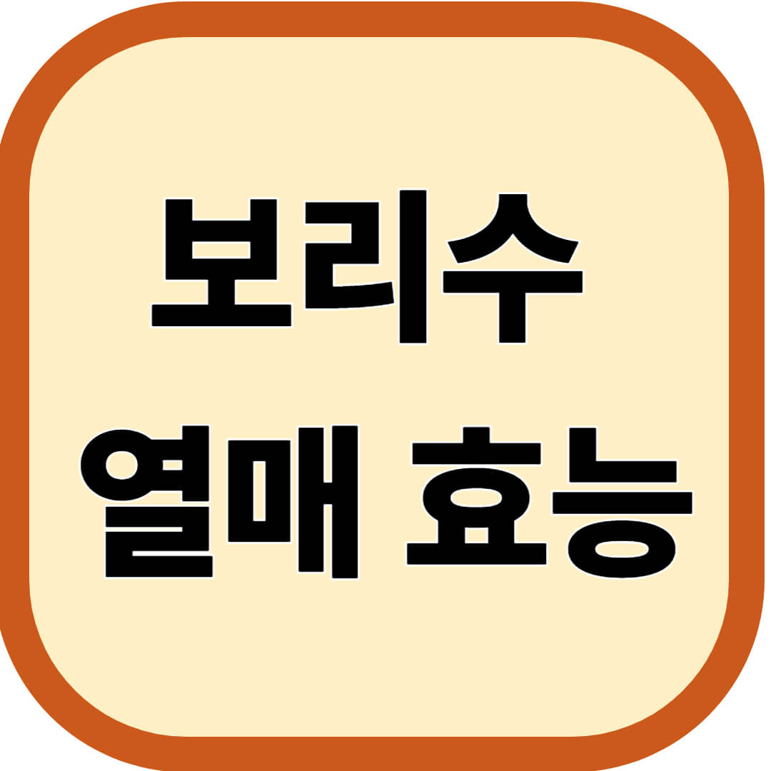보리수 열매 효능