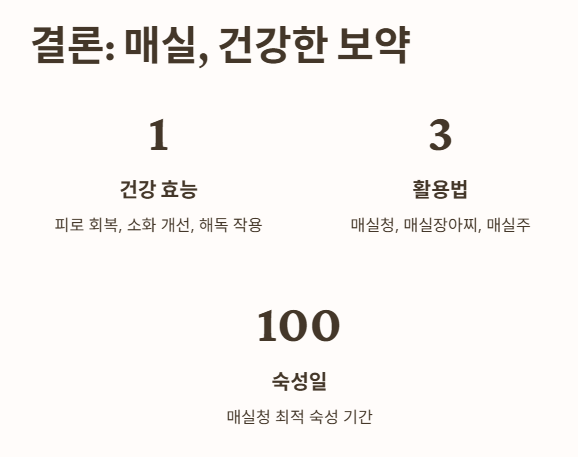 매실&amp;#44; 알고 담그면 건강한 보약