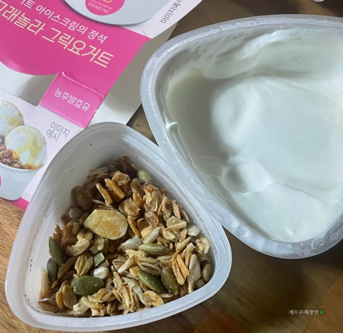 요거트 아이스크임의 정석 꿀 그래놀라 그릭요거트