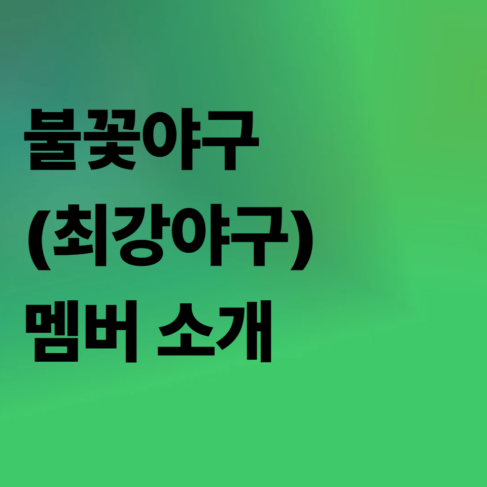 불꽃야구 멤버