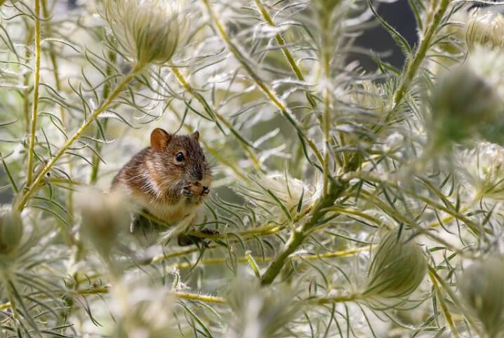 2023년쥐띠인간관계