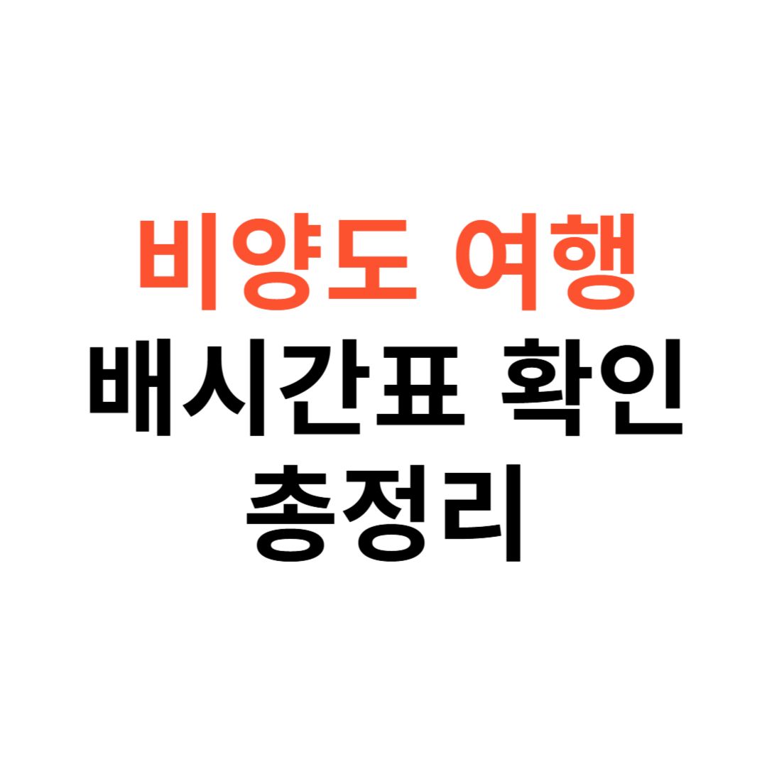 비양도 여행 배시간표