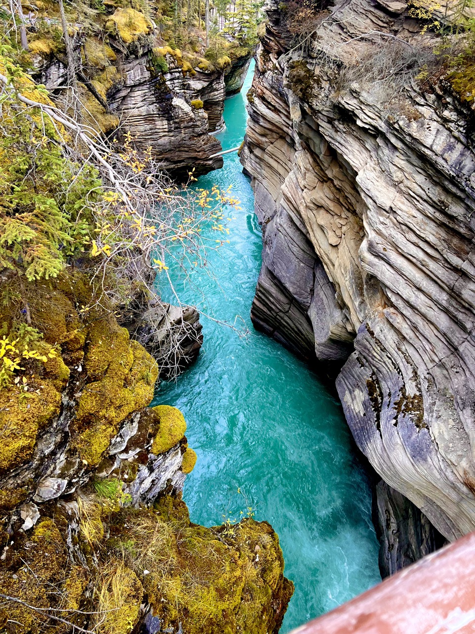 폭포가 만들어낸 협곡