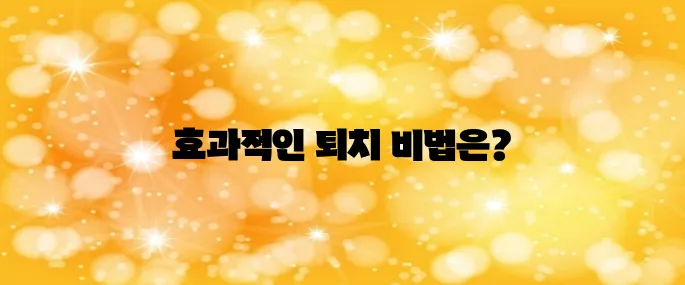 러브버그 퇴치방법