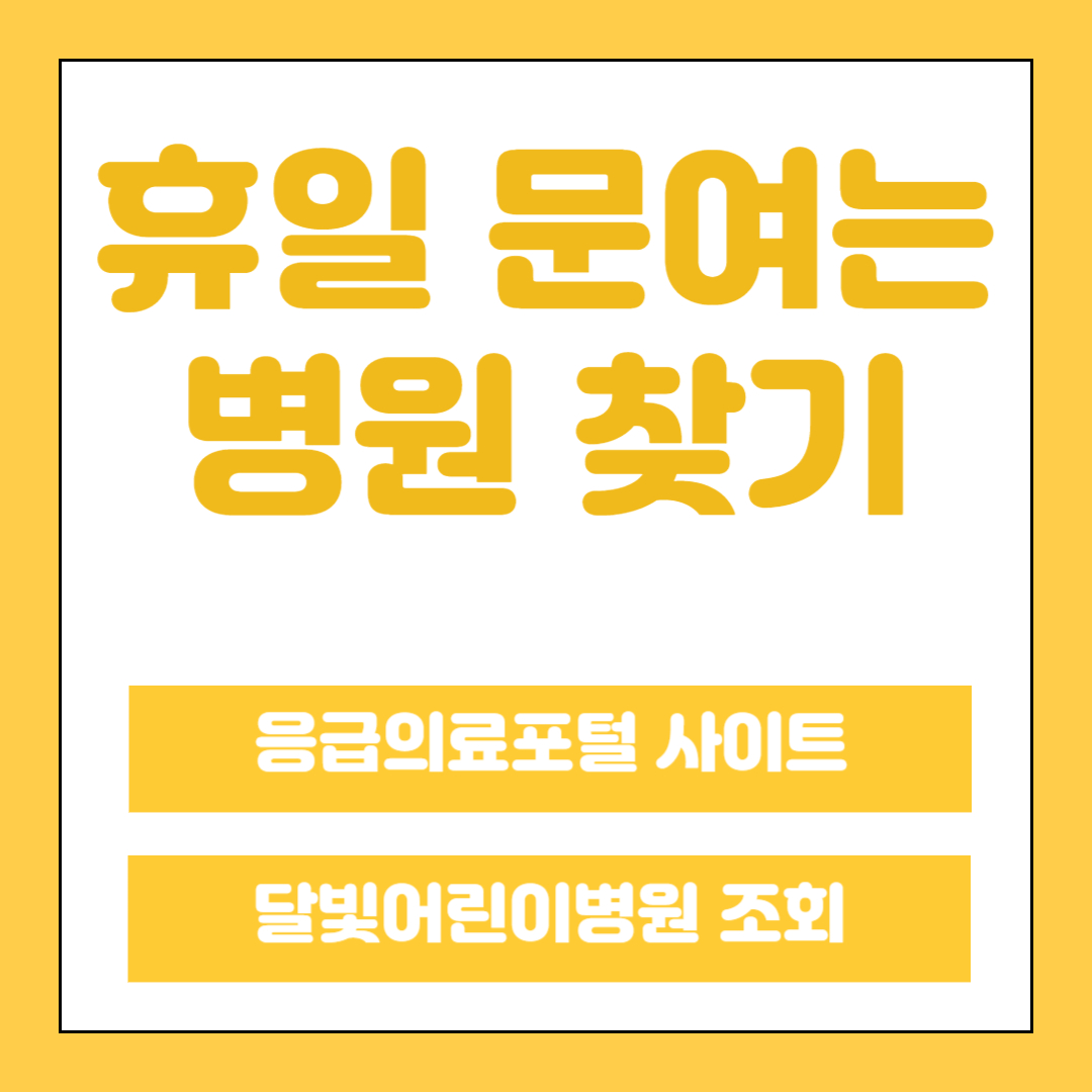 휴일 문여는 병원 조회