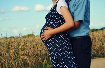 영양플러스 사업