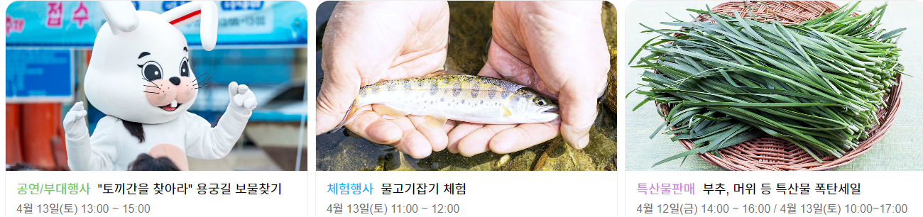 제 9회 사천비토섬 별주부전 프로그램