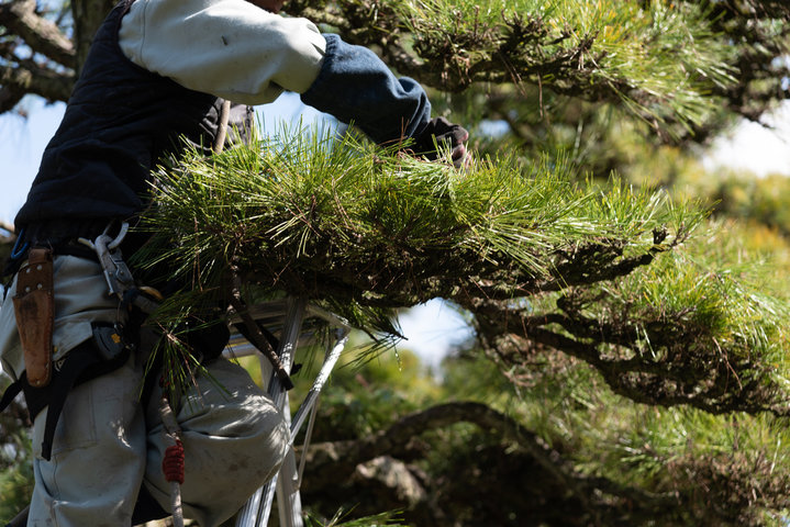조경기능사 취업