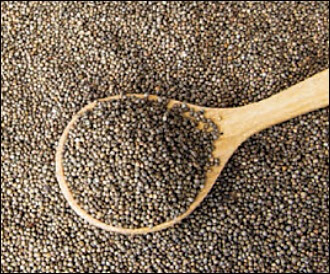 들기름 부작용 5