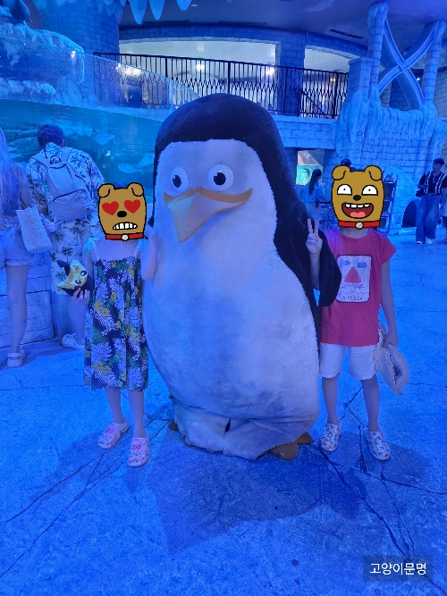 펭귄 먹이주기 체험 및 펭귄고 사진 한컷