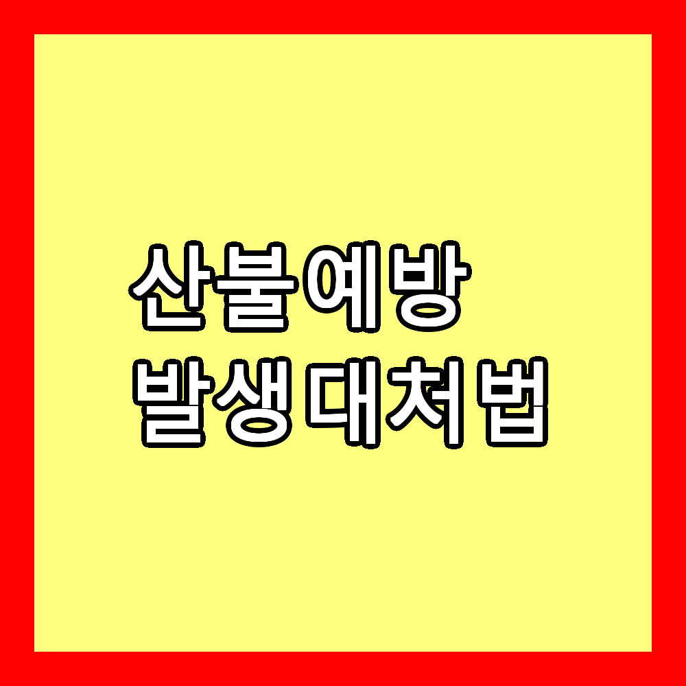 산불 예방 대처법