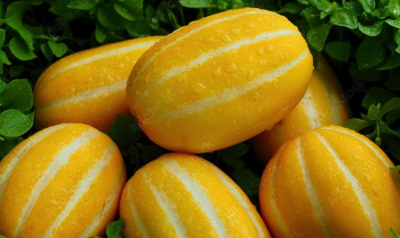 참외-효능-부작용-하루-섭취량-관련-사진