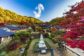 가을 단풍여행 추천지 베스트 영주 부석사