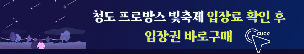 청도 프로방스 빛축제